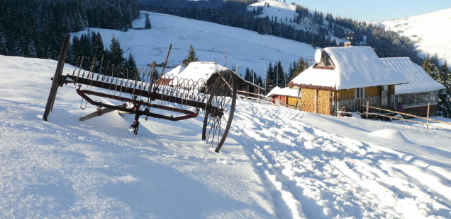 Січень в Карпатах