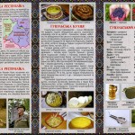 Гуцульська кухня, гуцульський словничок, гуцульська-космацька республіка