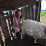 Ніколь вчиться доїти овечку