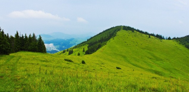 Хребет Синиці