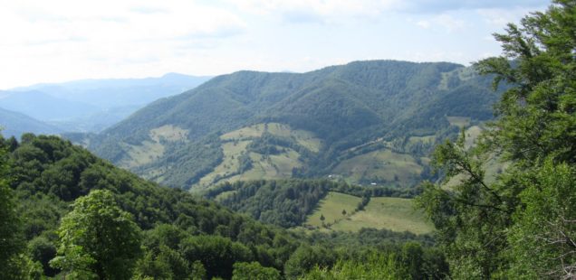 Гори моїх мрій