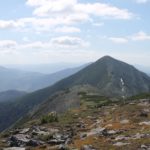 Ведмежик і Довбушанка