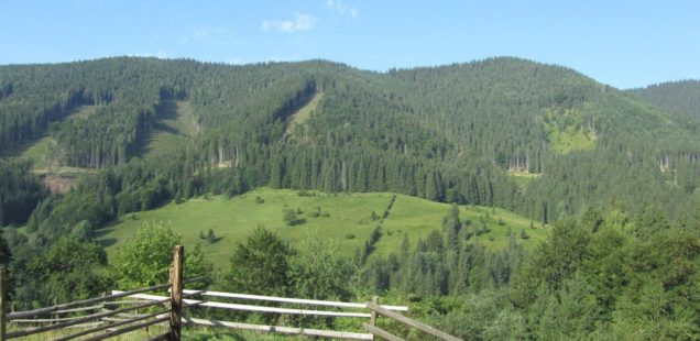 Вйо в Горгани: гора Ротило
