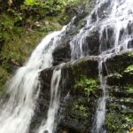 Буковецький водоспад (gps-трек)